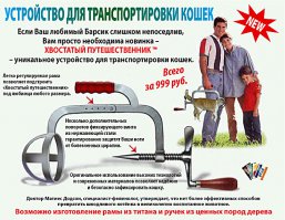 Когда не знаешь чего бы захотеть: 17 безумных кухонных приспособлений