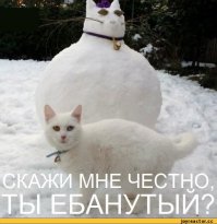 Снежные копии домашних животных