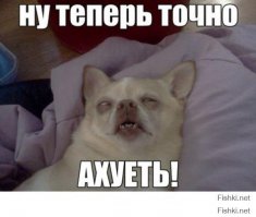 Йога на снегу в снимках из Instagram