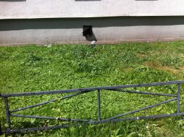 Интересный автомат в Турции