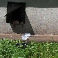 Интересный автомат в Турции