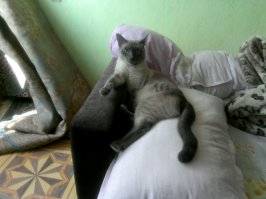 Бывает такое)))