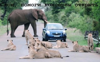 Фотоподборка за 18.03.2015