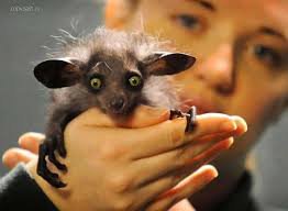 А КАК ЖЕ Я!!!