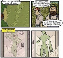 Круги на полях