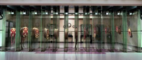 Первое фото напомнило мне сцену из фильма "Клетка":)