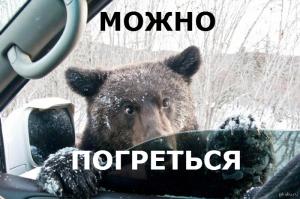 Замерзли мишки :)