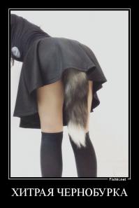 Ах ты ж хитрая жопа