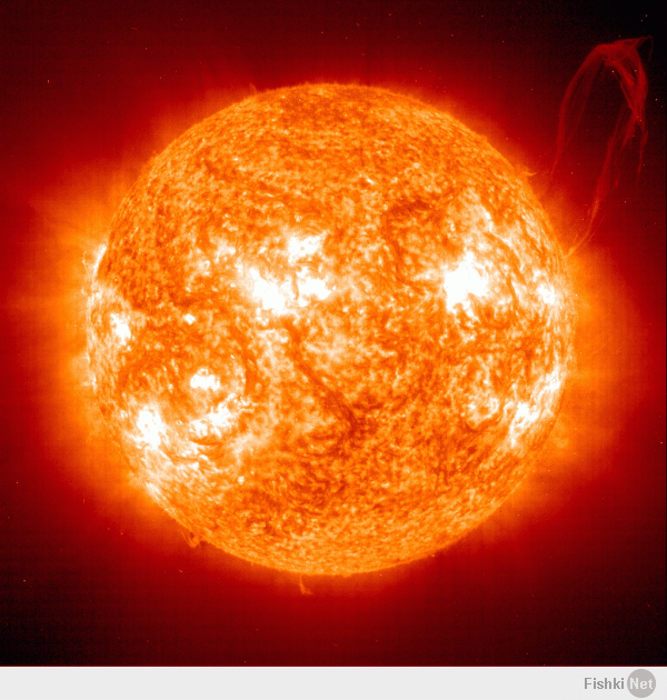 Фишкина солянка за 20.02.2014