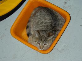 Добрый пост.