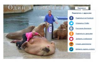 Мужики, они и в Африке мужики