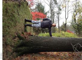 Удивительные оптические иллюзии без фотошопа 