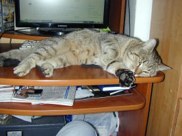 Три дня назад!