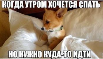 Фишкина солянка за 17.07.2014