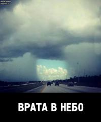 Фишкина солянка за 17.07.2014