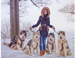 А вот это Маламуты и МаламутоВожатая.