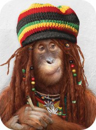 Это шапка не для Гурмана,а для Растамана !