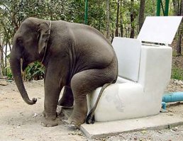 Мне при приёме на работу тоже задавали много хитрых вопросов и Психологических тестов, это теперь модно. Вот только один пример:
После того как сходили в унитаз "по большому" рассматриваете ли Вы свои "Экскременты" ?
Да или Нет ?
Правильного ответа в принципе не существует.
Если ДА, то отвечающий капро - кто то там.
Если НЕТ, то говорит не правду, т.к. при спускании рычага водоспуска, наклоняешься над унитазом по-любому.
Это просто Психологический тест на характер личности.