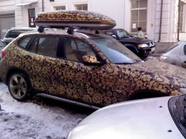 Хохлома по Жести.