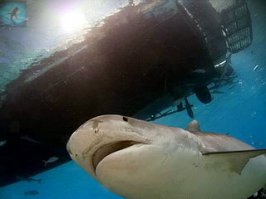 Рыбалка в Кении