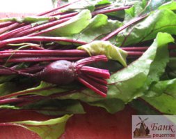 Вершки Свёклы для Свекольника.