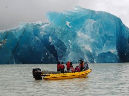 В плену Антарктиды 
