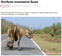 супер-пупер-мегабаян.
этим картинкам больше лет, чем некоторым посетителям данного трэда.