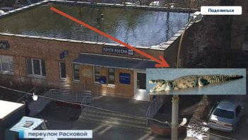 На крыше почты в Москве появилось озеро с утками