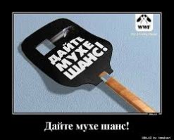 Солевое ружье - странный способ избавления от мух