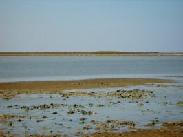 Да как-то так