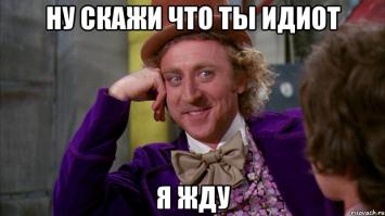 Уморительные собаки с бровями