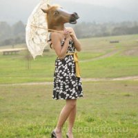 Когда смотрел не знал плакать или смеяться. Лошадь