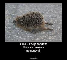 Фишкина солянка за 06.07.2014
