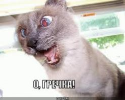 Гора гречки