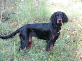 Выросла копия мамочки.