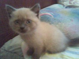 Семь лет прошло.