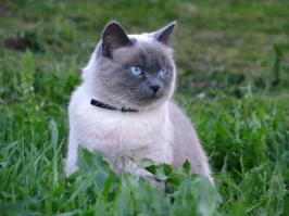 Семь лет прошло.