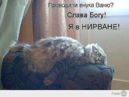 Реакция кота, который первый раз увидел ребенка 