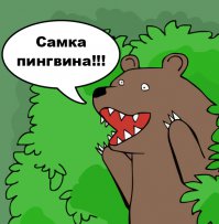 Интересные факты
