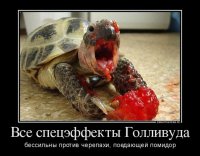 ну как сказать...