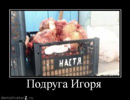 Ищу нового соседа