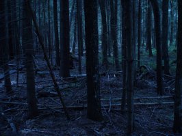 Соома, Эстония.