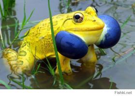 Тарасюк: Чтобы победить Путина, нужно красить заборы.