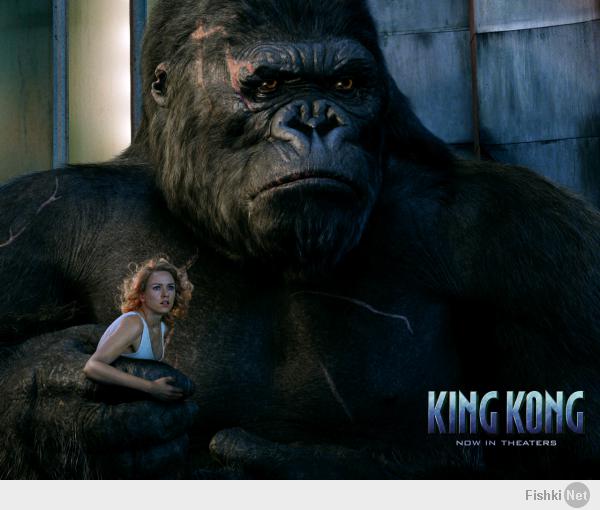 Подборка видео от 14.03.2014