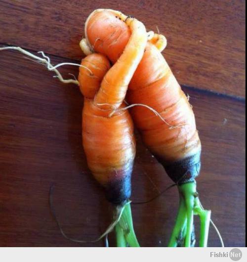 пытался посмотреть на них, как на две сросшиеся морковки. Не получается. Вижу две ОБНИМАЮЩИЕСЯ морковки))))
