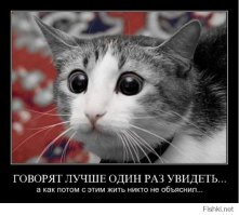 32 человека, в существование которых, вы не поверите