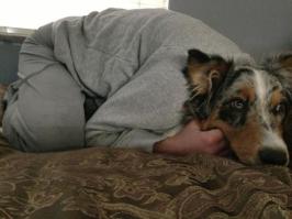 23 фотографии, которые обманут ваши глаза