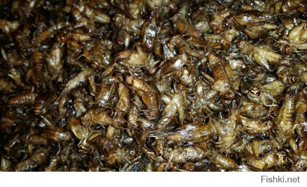 что то из этой кухни)