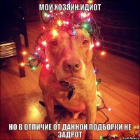 21 четвероногий фанат "Звездных войн"