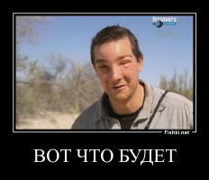 Что будет, если вскрыть осиное гнездо?